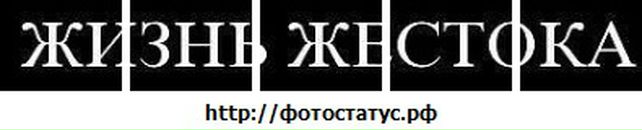 Сергій Юзва фотография #33 (источник - https://vk.com/id41750587)