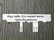 Фотография  