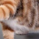 Вєталь Серйозний фотография #29 (источник - https://vk.com/id136859700)