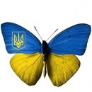 Алінка Малінка фотография #8 (источник - https://vk.com/id158357873)