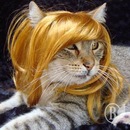 Фотография Евсеевой Александры