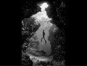 Дмитрий Белясник фотография #36 (источник - https://vk.com/id4859648)