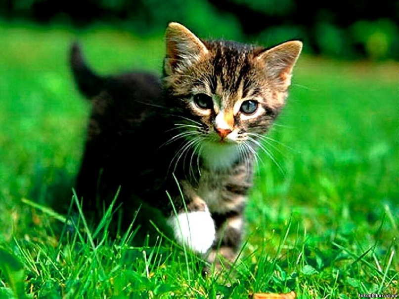 Андрей Блинов фотография #7