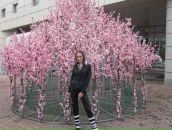 Фотография Евсеевой Александры