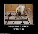 Фотография Васильева Наталья