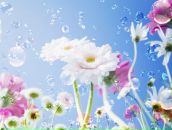 Фотография Прокопьева (Корх) Анны