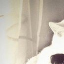 Ілона Перець фотография #4 (источник - https://vk.com/id136474219)