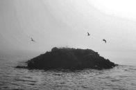 Вероніка Зуєнко фотография #35 (источник - https://vk.com/id36051863)