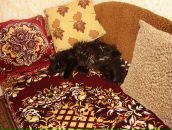 Дюрі Масяк фотография #12 (источник - https://vk.com/id19779231)