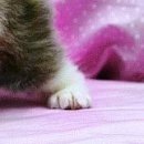 Іванка Зубенко фотография #40 (источник - https://vk.com/id100080283)