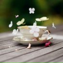 Фотография Боргояковой Юлии