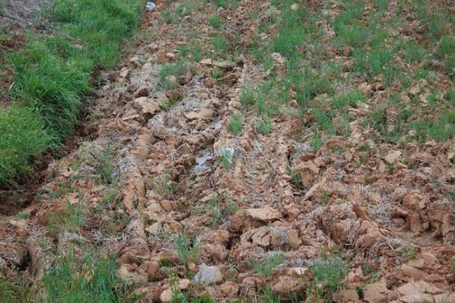 Антон Кайгородов фотография #25