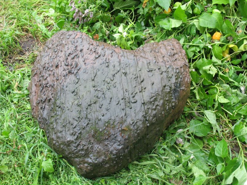 Aaa Sss фото №4