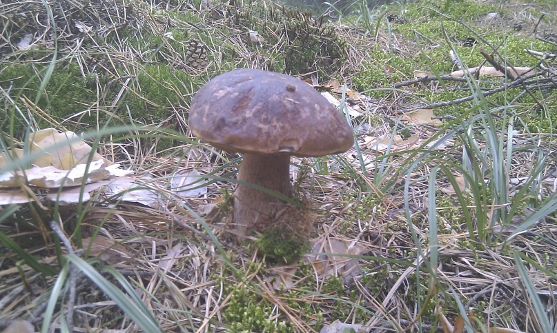 Александр Филатов фотография #34