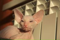 Фотография Руденко Татьяны