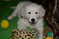 Фотография Гусевой Виктории