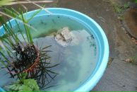 Илья Ткаленко фотография #46 (источник - https://vk.com/id1700512)