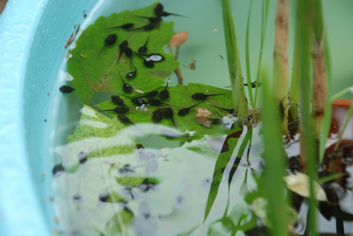 Илья Ткаленко фотография #45