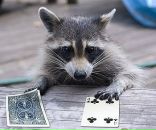 Фотография Тимошенко Владислава