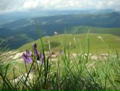 Αнна Κалашникова фотография #11 (источник - https://vk.com/id84410140)