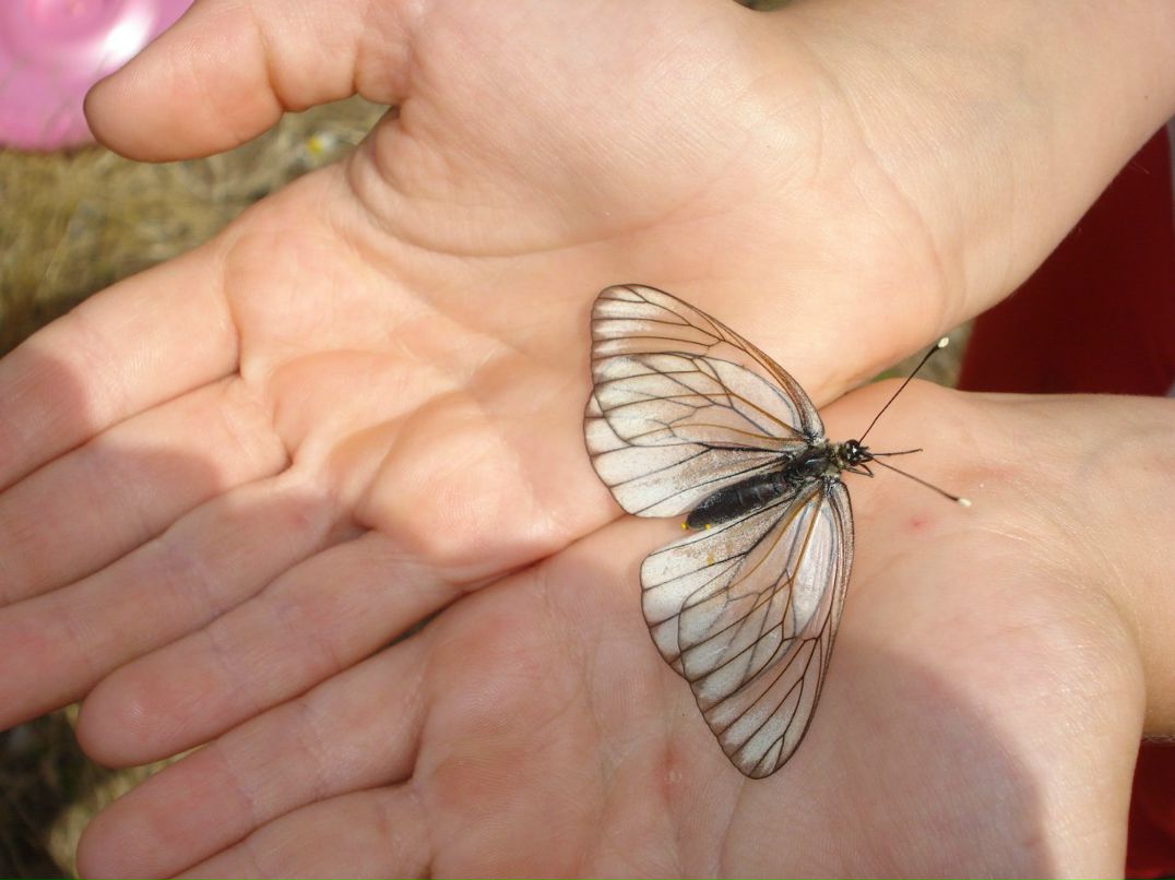 Александр Бугаков фотография #47