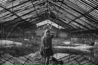 Макс Спицын фотография #39 (источник - https://vk.com/id3824919)