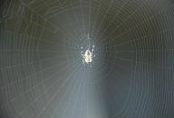 Ігор Теслюк фотография #39 (источник - https://vk.com/id11538371)