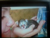 Фотография  