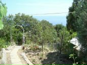 Андрій Сидор фотография #15 (источник - https://vk.com/id72877910)