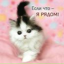 Фотография Власовой Ольги