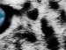 Ігор Яфаров фотография #26 (источник - https://vk.com/id33309817)