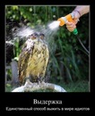Роман Станіславській фотография #7 (источник - https://vk.com/id139311268)