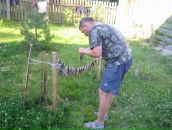 Дмитрий Карцев фотография #15 (источник - https://vk.com/id1531047)