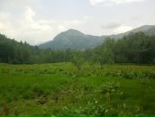 Igor Igor фотография #34 (источник - https://vk.com/id577602)