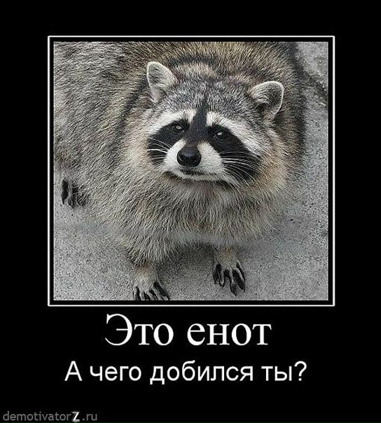 Илья Агашкин фото №27