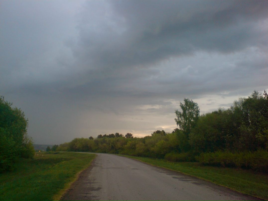 Денис Николаев фотография #5