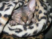 Фотография Алматаевой Анны