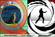 Булат Ермолаев фотография #11 (источник - https://vk.com/id132008)