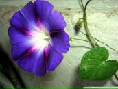 Фотография Сафин Рустем