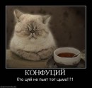 Я... ФоЛныФко=) фотография #16 (источник - https://vk.com/id58452694)