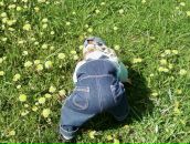 Фотография Милеш Лидии