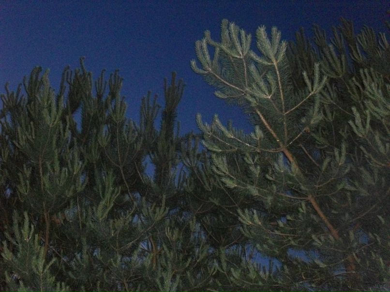 Ler Ka фотография #1