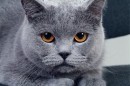Фотография Казанской Екатерины