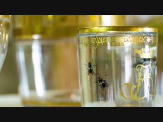 Стеклянные изделия завода Бахметевых (Россия. Начало XIX века)