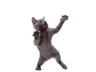 ити ти па тири пеп еу