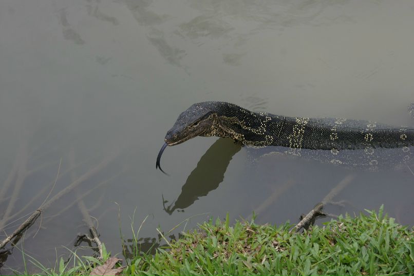 Иван Пешков фотография #38