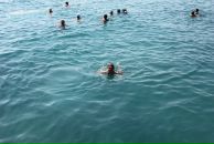 Тимур Бабаев фотография #25 (источник - https://vk.com/id2496859)