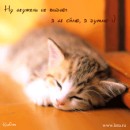 Анюта Тимофеева фотография #13 (источник - https://vk.com/id27639875)