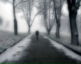 Фотография Кулешова Ивана