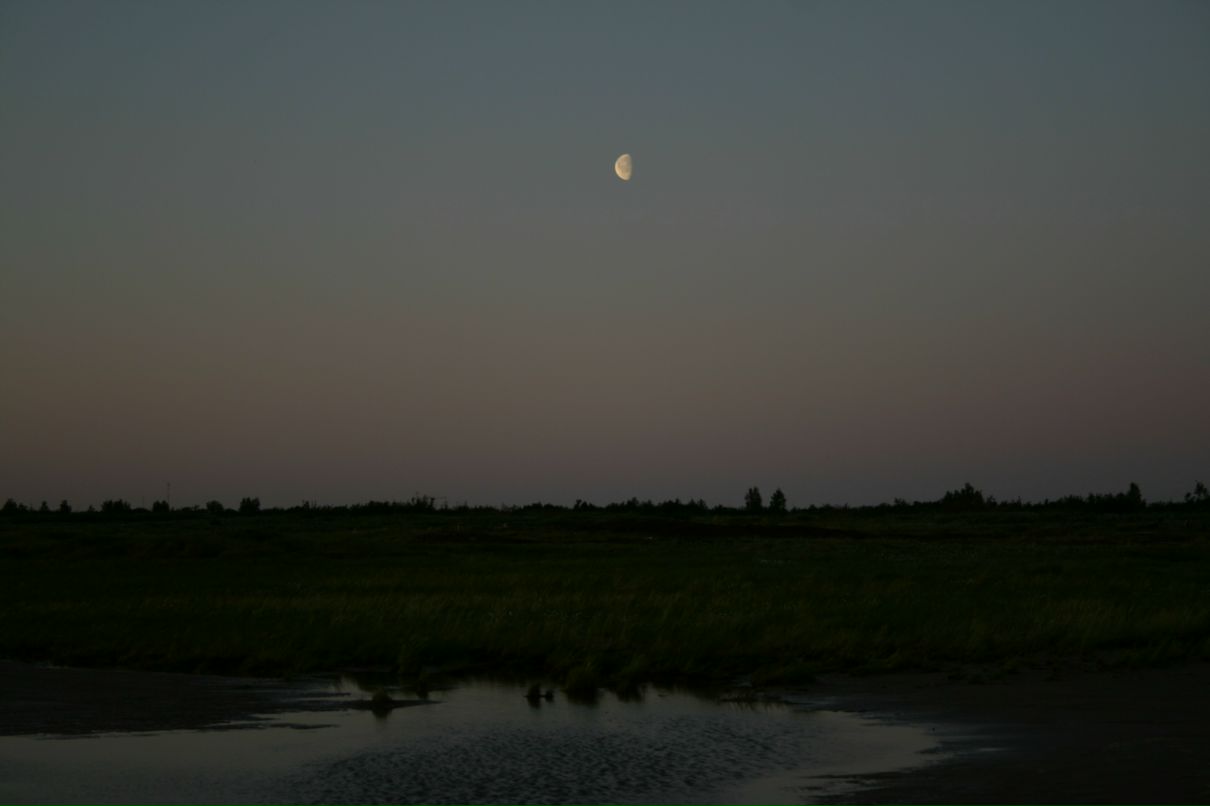 Владимир Дмитриев фотография #41